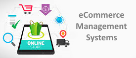 ecommerce management system