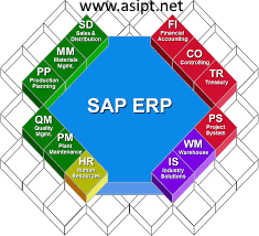 SAP ERP Training Course
